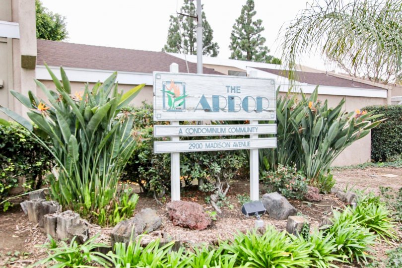 The Arbor Fullerton CA